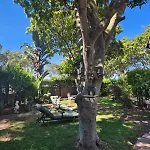 Appelgarth Guest House